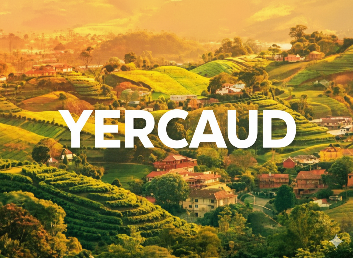 Chennai to Yercaud Tour